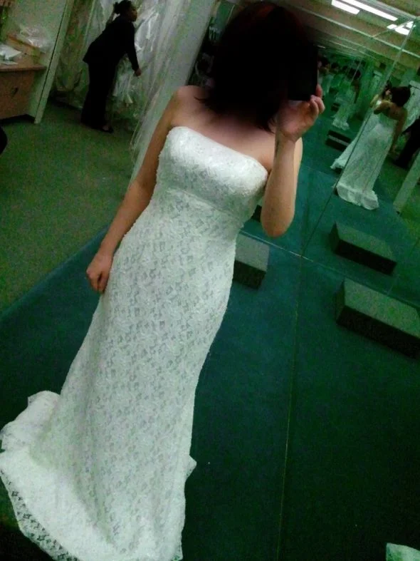 Weekend Special David's Bridal Allover beaded lace gown with empire waist